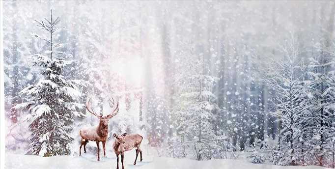 Leighton Buzzard Christmas Psychic & Wellbeing Fair