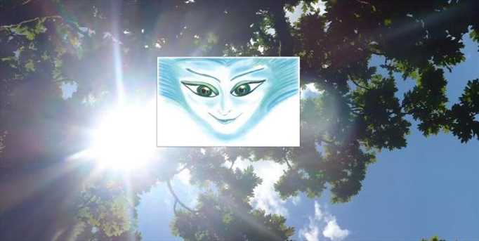 Plant consciousness & the World of Nature Spirits & Elementals