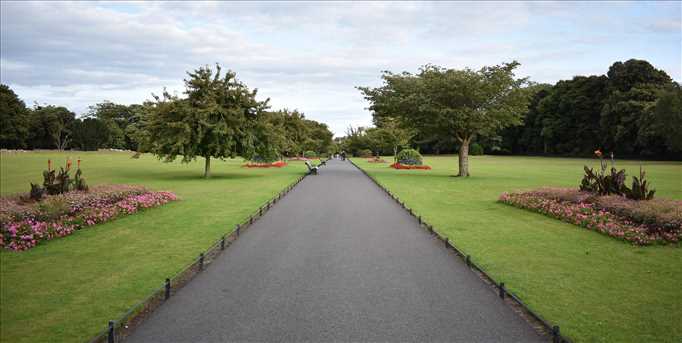 ** FREE FENG SHUI WORKSHOP  ** - ONLINE