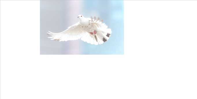 ASCENSION CEREMONY  - A FIRST PUBLIC EVENT 