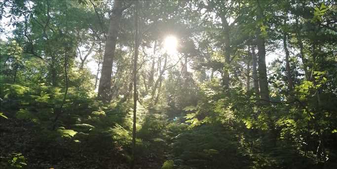 Peace in the Park - Every Saturday