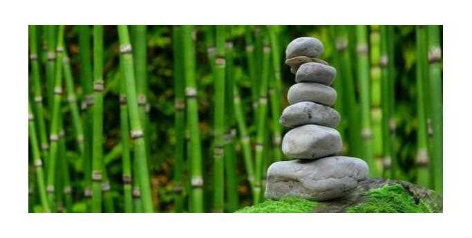 Free Meditation Webinar