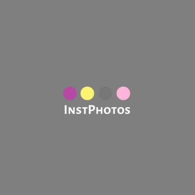 User Profile