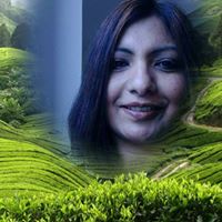 User Profile